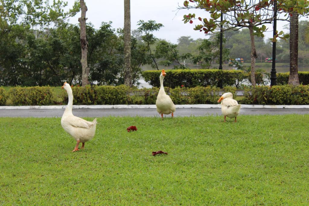 Amatique Bay Hotel Puerto Barrios Eksteriør bilde